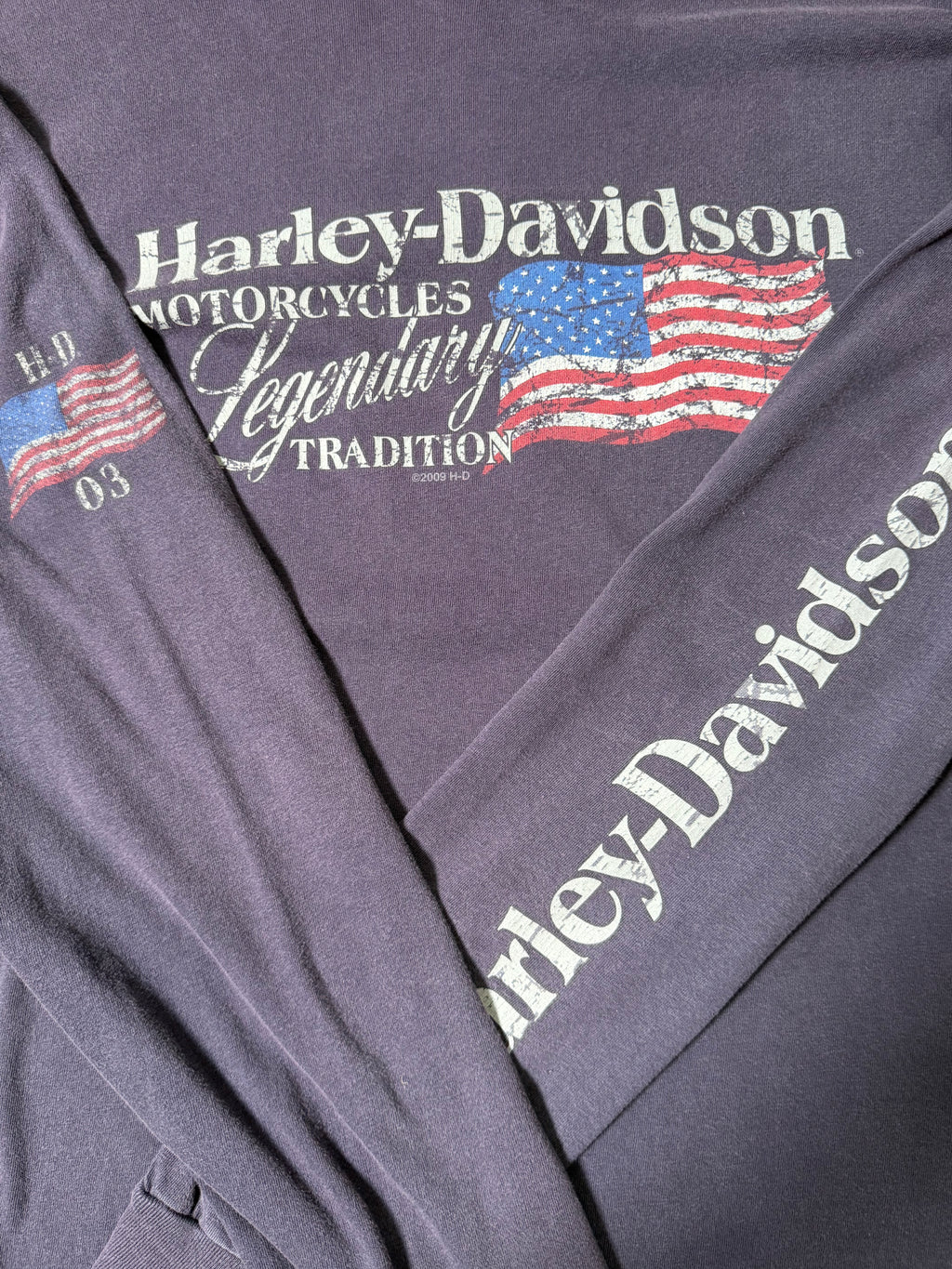 Vintage 2009 Harley Davidson Longsleeve
