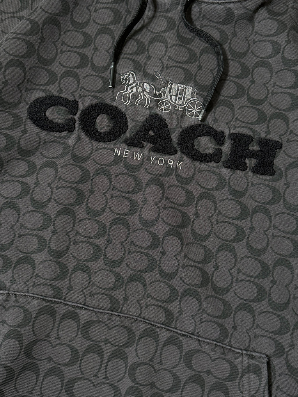 COACH Embroidered Hoodie Jacket