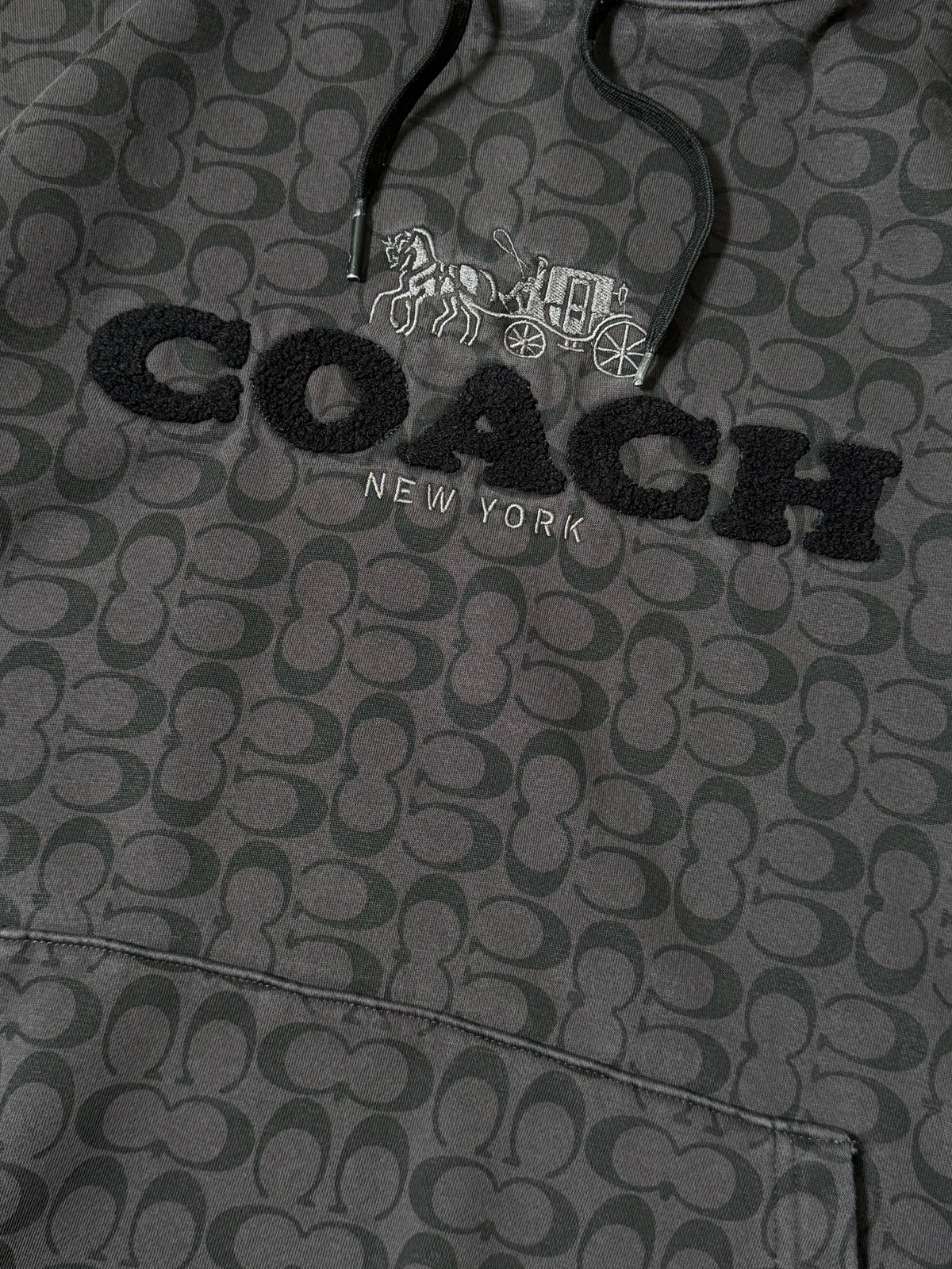 COACH Embroidered Hoodie Jacket