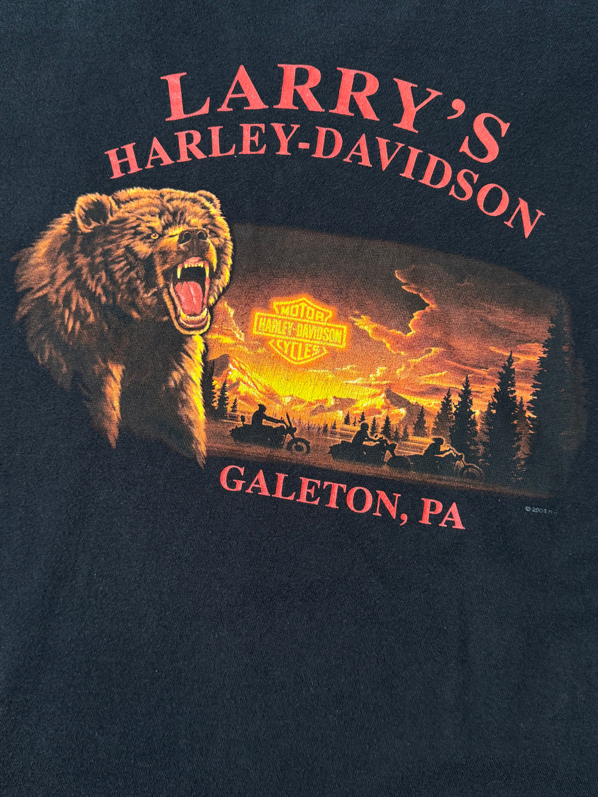 Vintage Harley Davidson Longsleeve