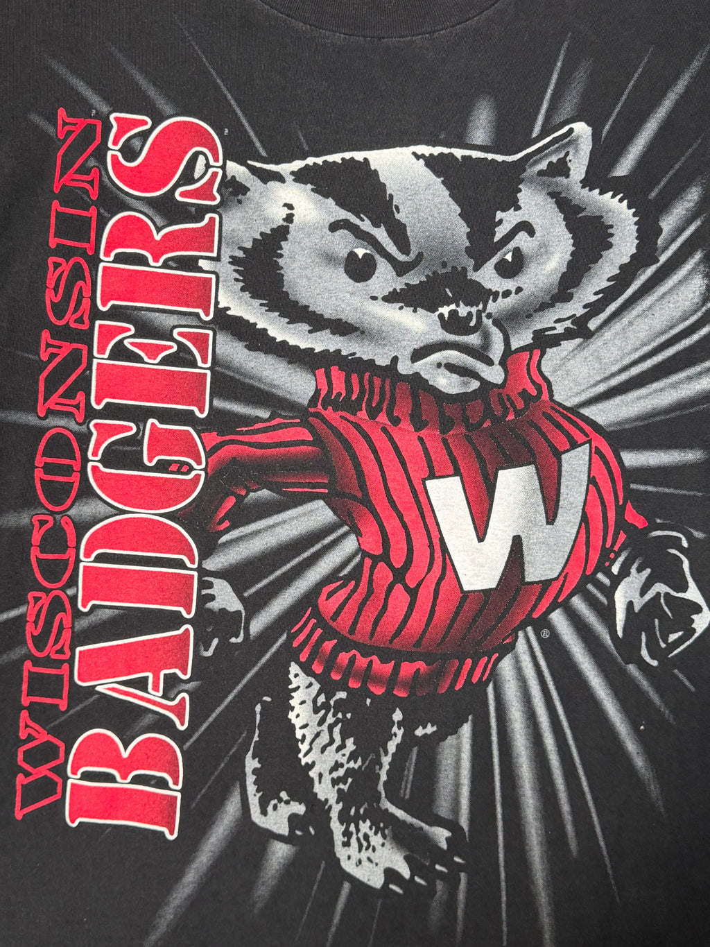 Vintage Wisconsin Badgers Mascot Big Logo T-shirt