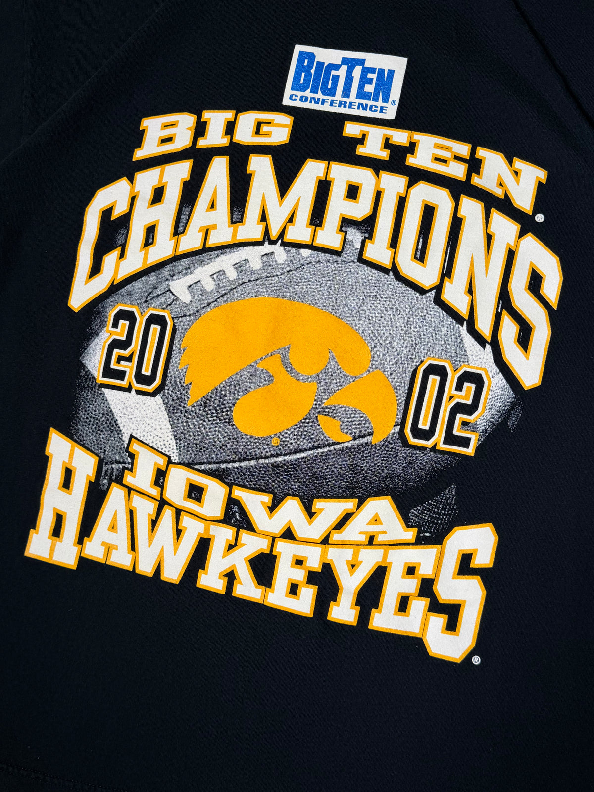 Vintage Iowa Hawkeyes 2002 Big Ten Champions