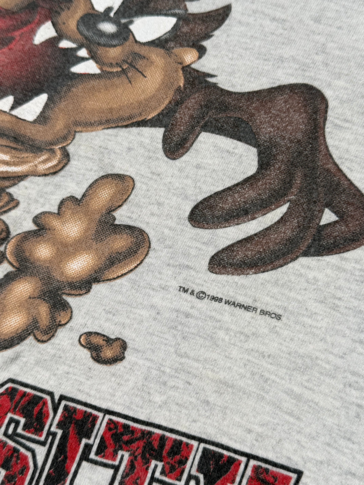 Vintage Taz Ohio State University