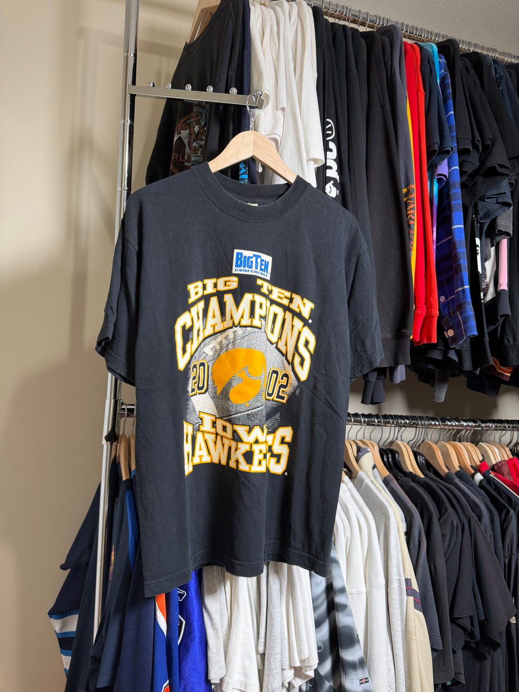Vintage Iowa Hawkeyes 2002 Big Ten Champions