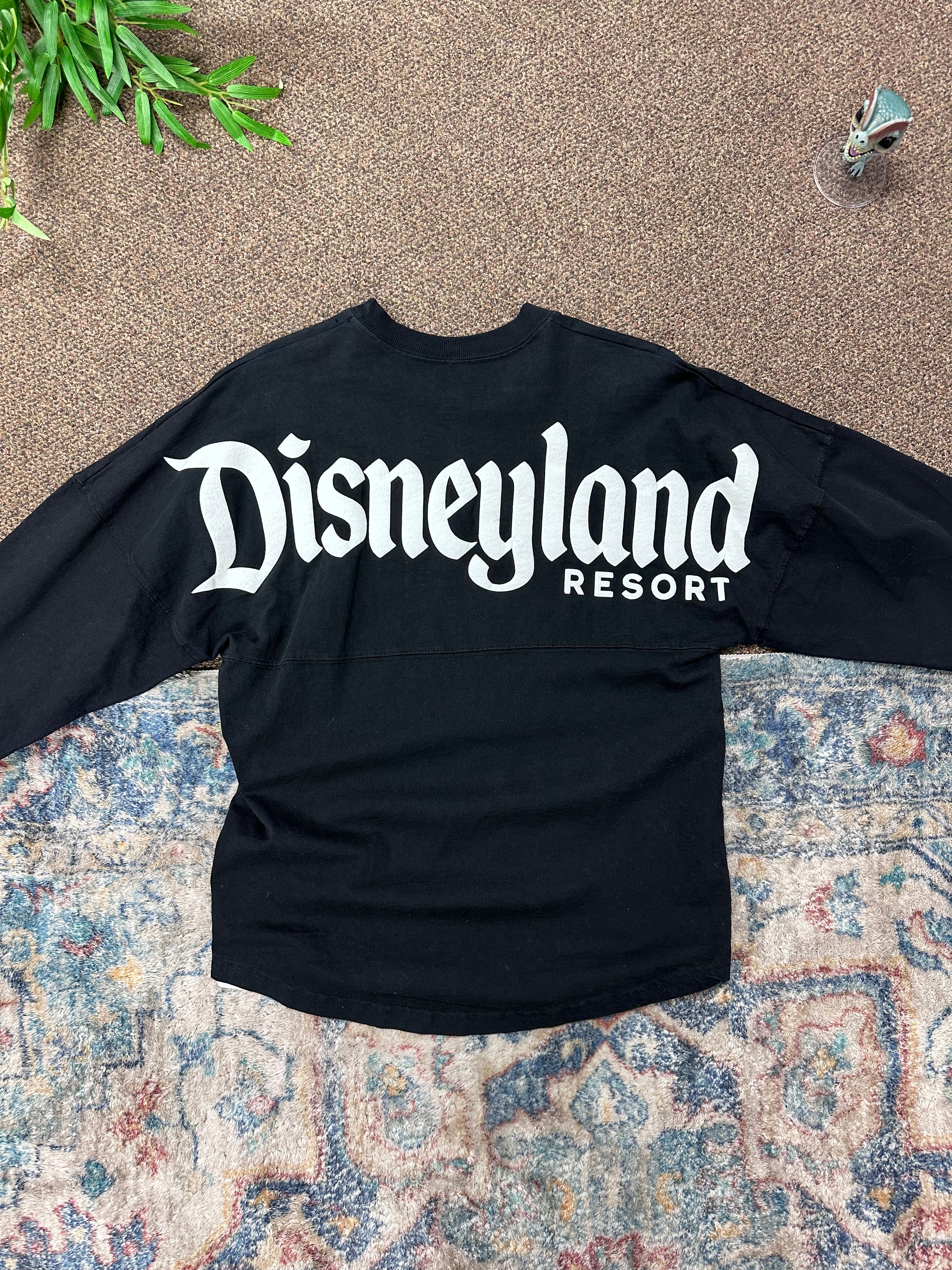 Vintage Disneyland Sweater