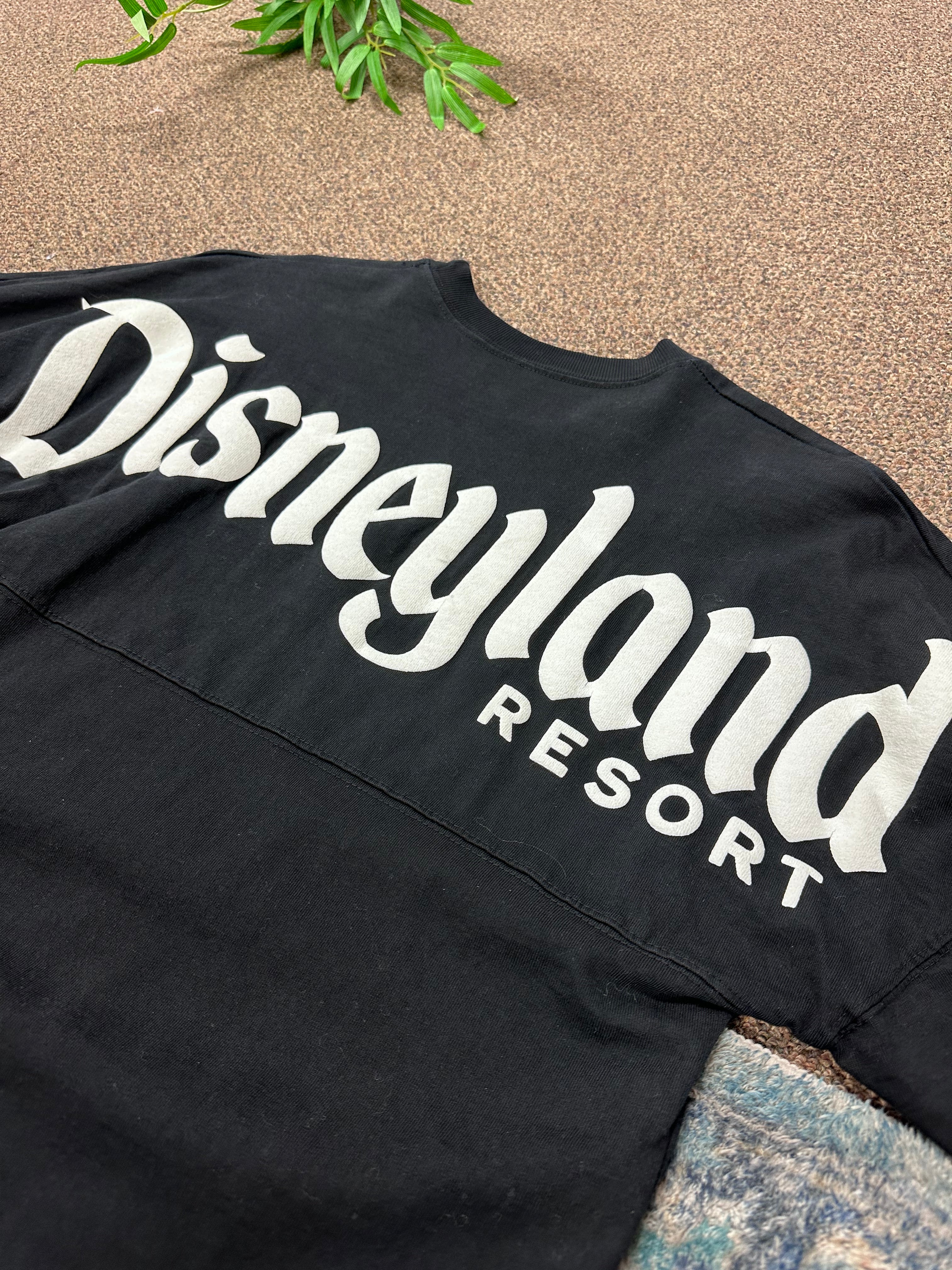 Vintage Disneyland Sweater