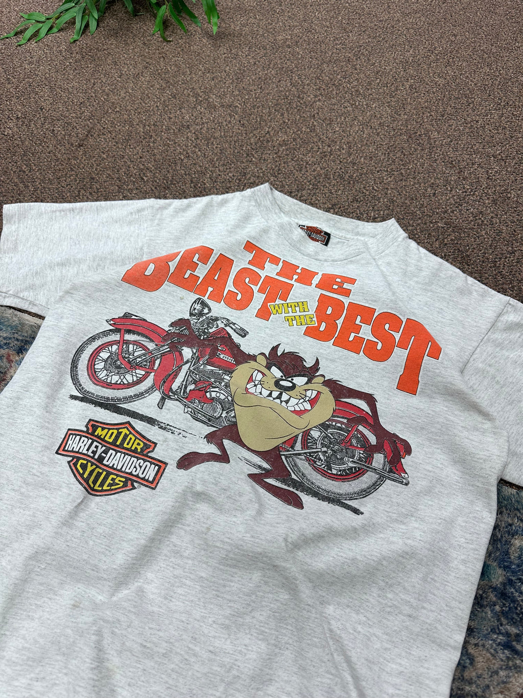 Vintage Harley Tazmanian Tee