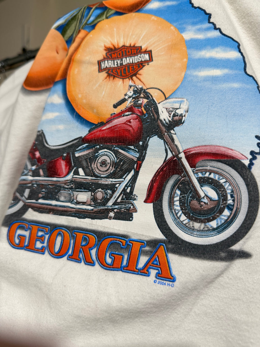 Vintage 2005 Harley Davidson Georgia Long sleeve