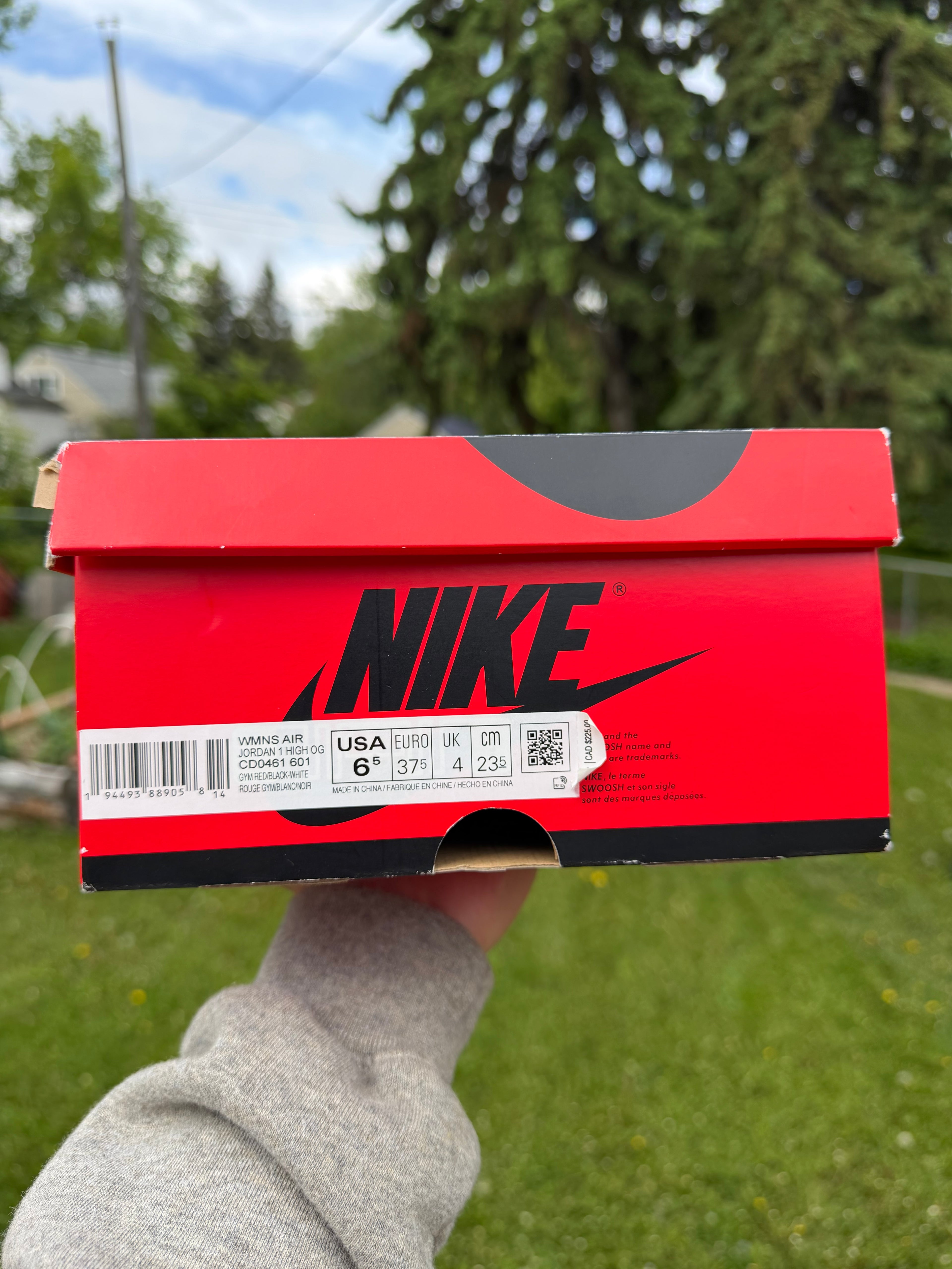 Jordan 1 Wmns Retro High "Satin Snake Chicago"
