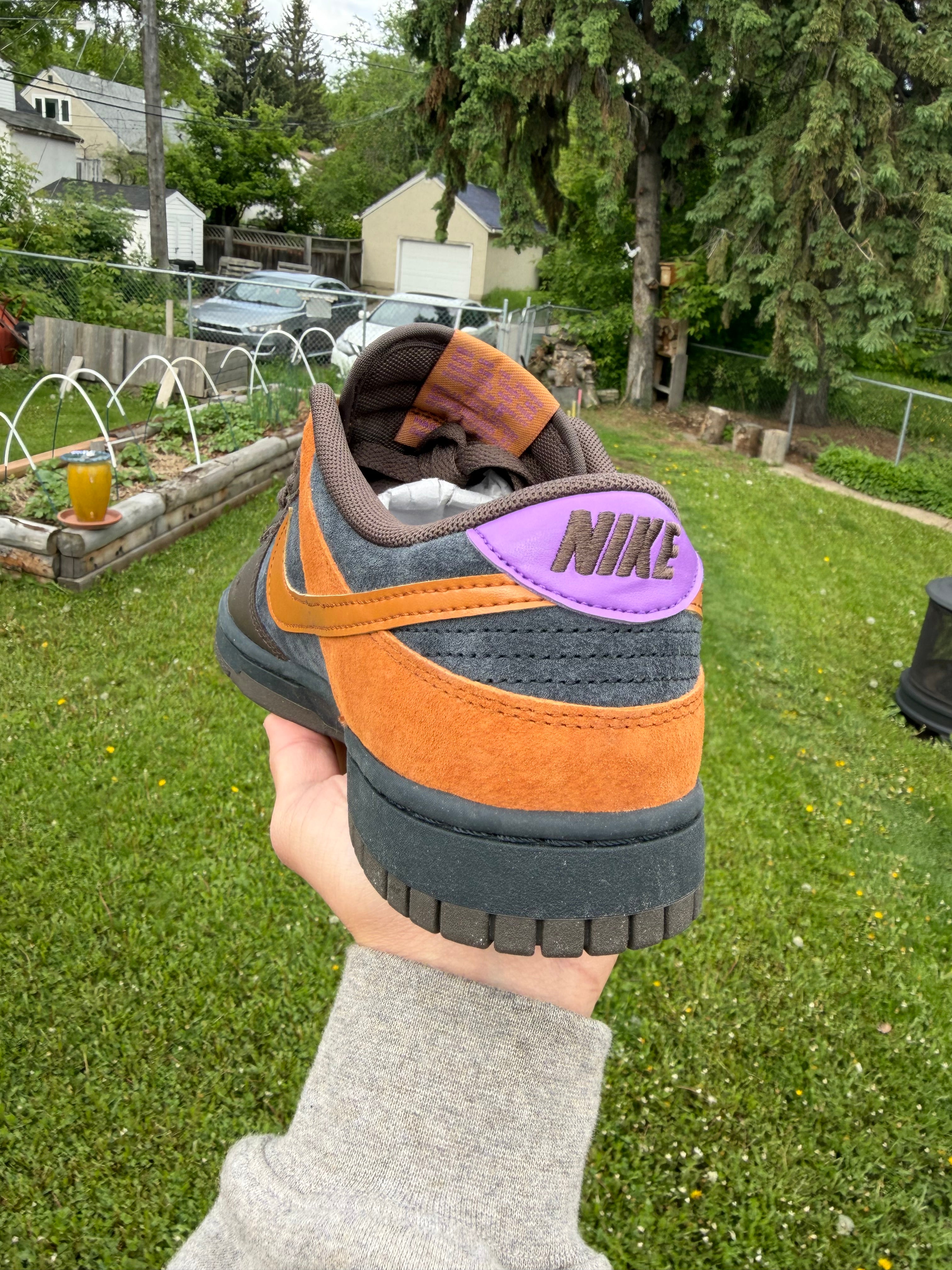 Nike Dunk Low "Cider"