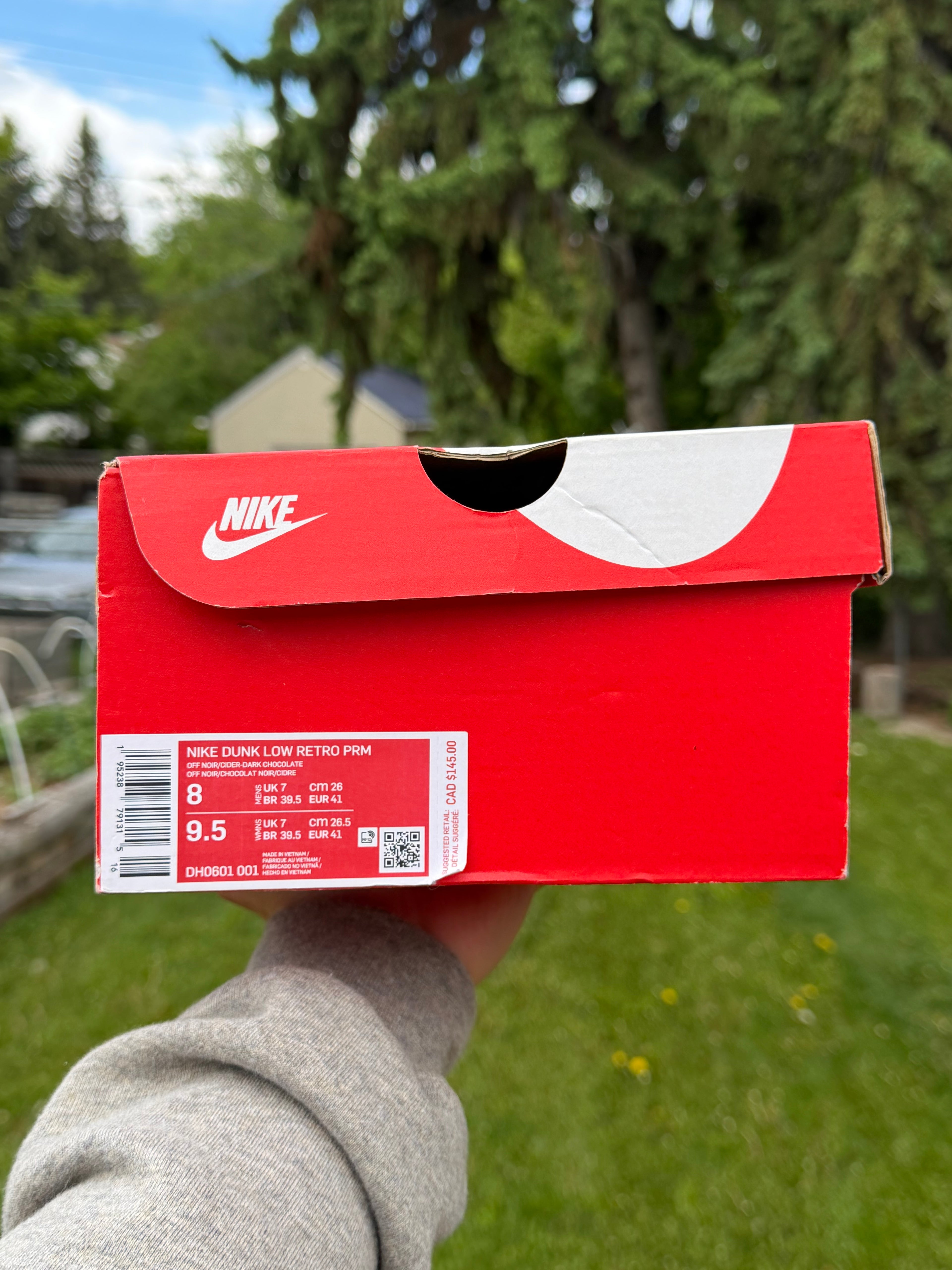 Nike Dunk Low "Cider"