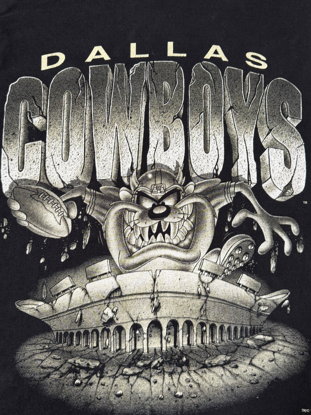 Vintage 1995 Dallas Cowboys x Taz