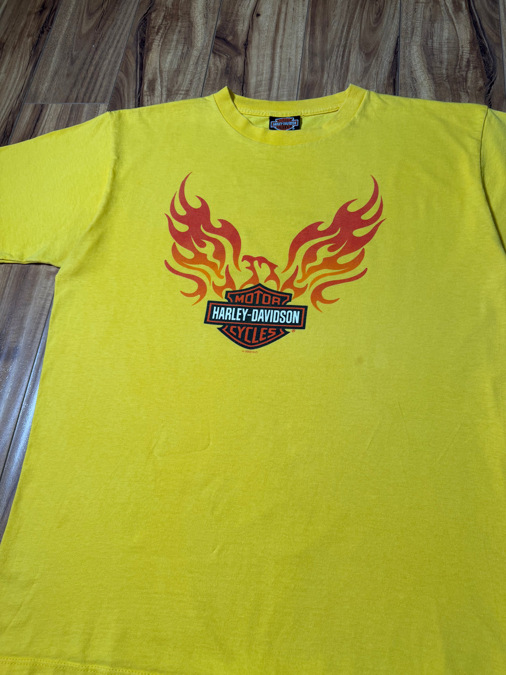 Vintage 2000 Harley Davidson Orlando Tee