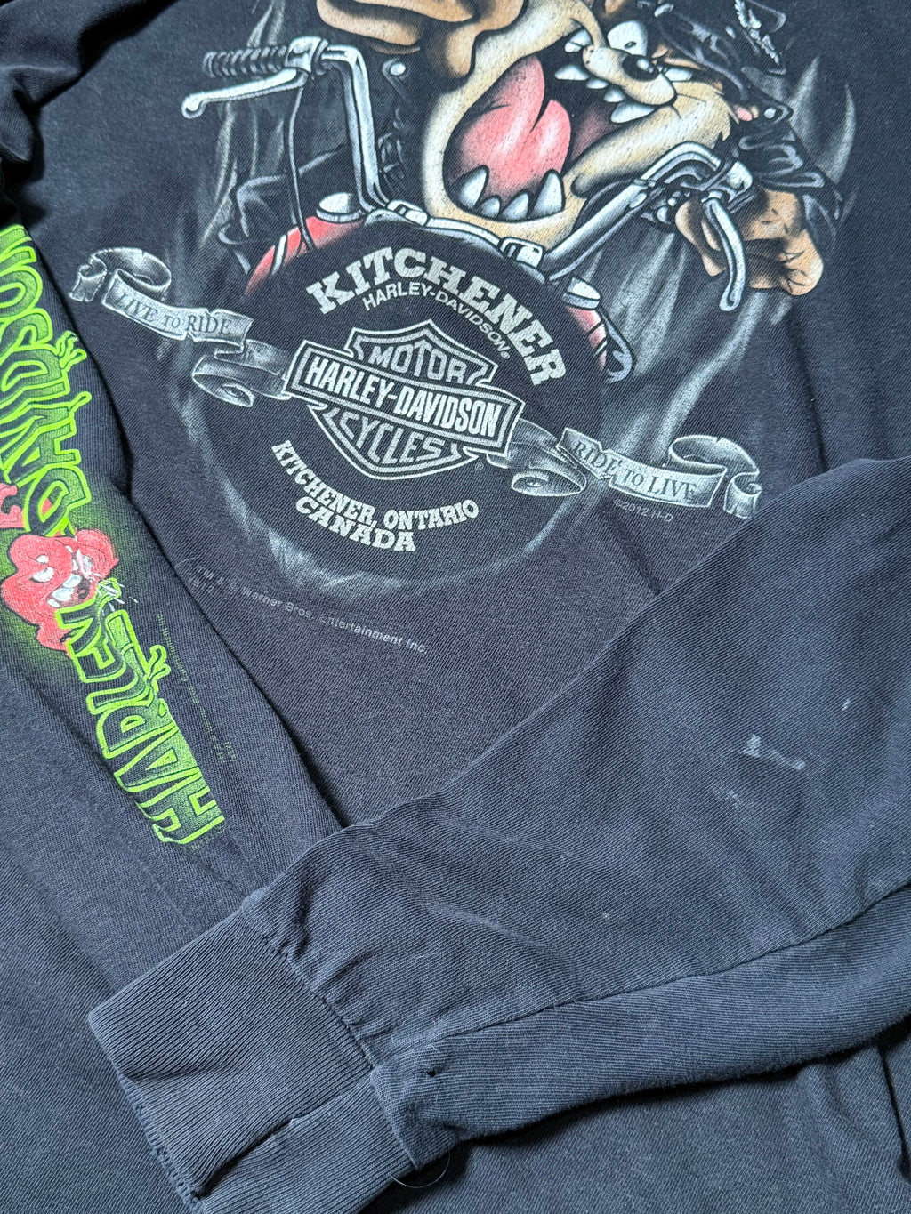 2012 Harley Davidson x Warner Bros Longsleeve