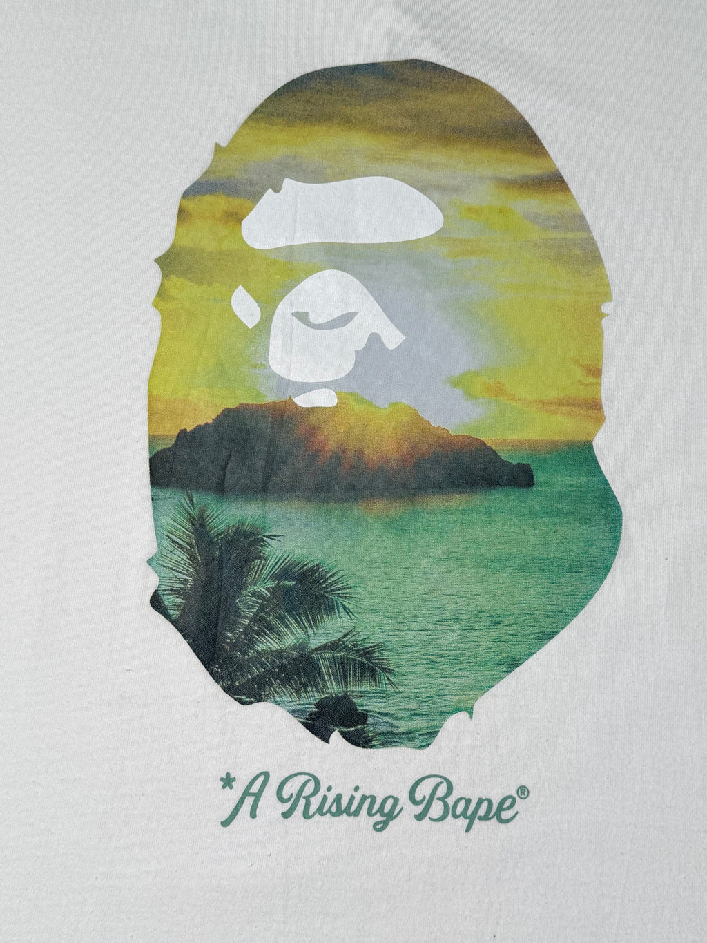 BAPE "A Rising BAPE" Photo Tee