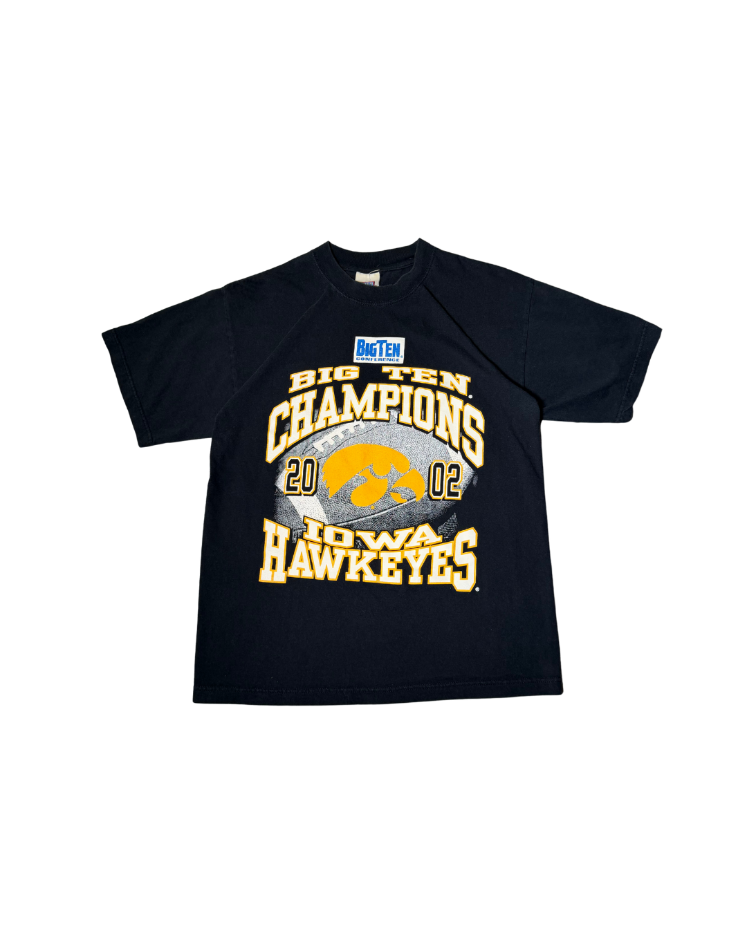 Vintage Iowa Hawkeyes 2002 Big Ten Champions